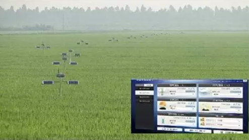 NB-IoT，農業物聯網產業化的新路徑